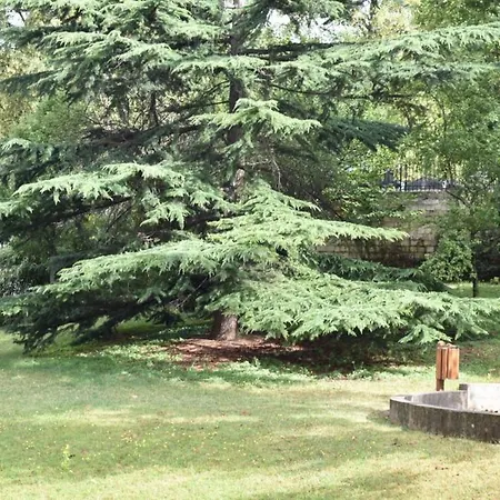 Appartement 2 Bedroom Flat Near Pere Lachaise